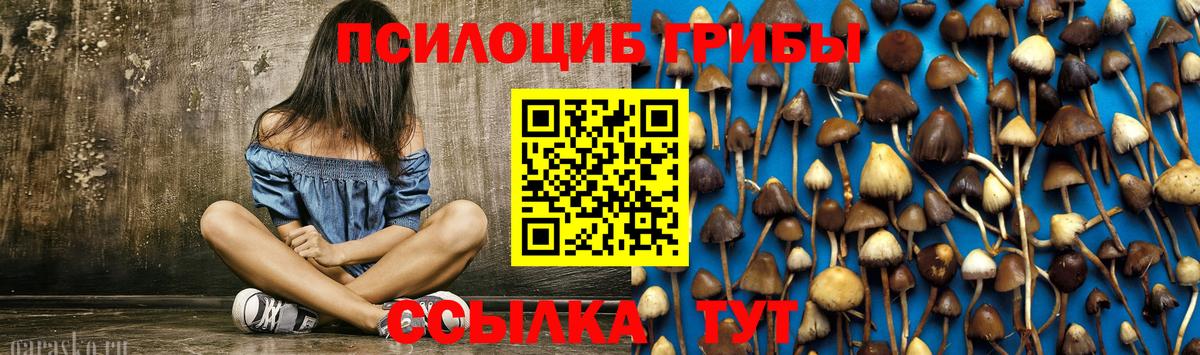 Галлюциногенные грибы Psilocybine cubensis Гурьевск